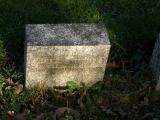 image of grave number 693178